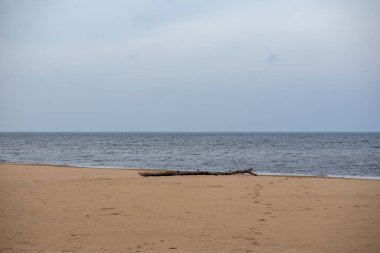 Kumun üzerinde bir ağaç gövdesinin parçalanmış bir parçası olan deniz.