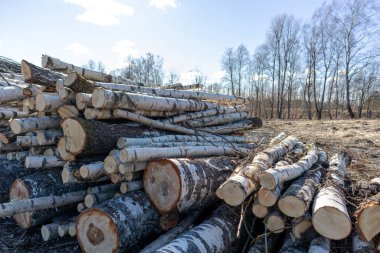 Yolun kenarında bir ağaç yığını var.