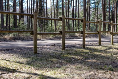 Çakıl yolu ve çim patikası arasında çit var.