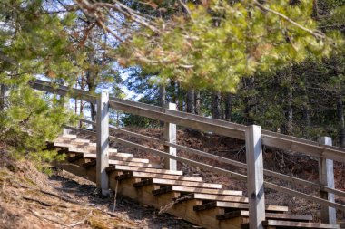 Doğa yoluna çıkan tahta merdivenler.