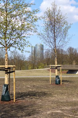 Şehrin modern ortamında gelişmiş bir park