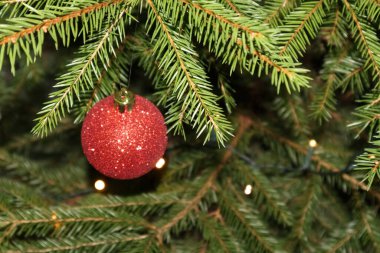 Noel süslemesi bir ağaçta