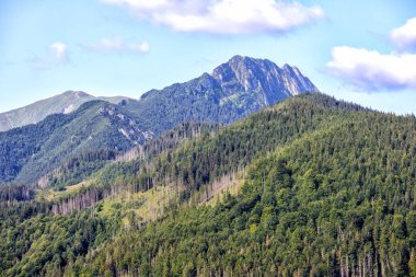 Sabahları dağlar ve ağaçlarla kaplı dağ manzarası