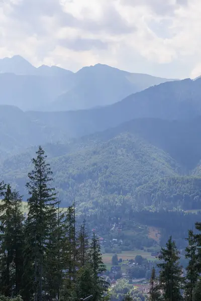 Dağlarda aşırı gelişmiş ormanlarla kaplı bir manzara bulutların arka planında