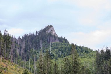 Bulutlu bir günde dağın tepesinden manzara