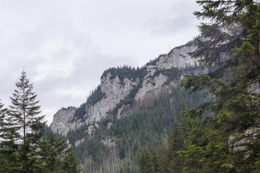Bulutlu bir günde dağın tepesinden manzara