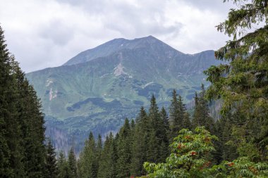 Bulutlu bir günde dağın tepesinden manzara