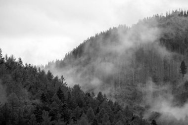 Yağmurdan önce dağda sis var.