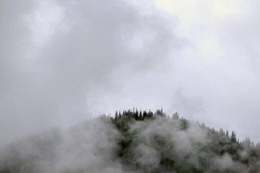 Yağmurdan önce dağda sis var.