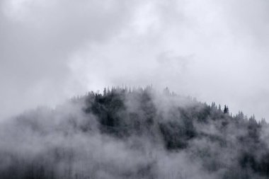 Yağmurdan önce dağda sis var.