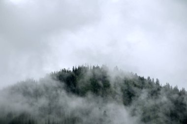 Yağmurdan önce dağda sis var.