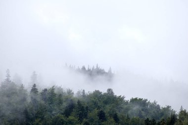 Yağmurdan önce dağda sis var.