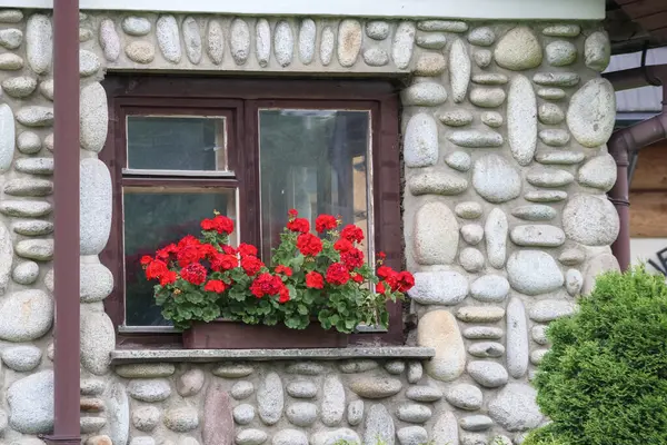 Tahta pencereli taş ev duvarı ve pencere eşiğinde çiçekler.