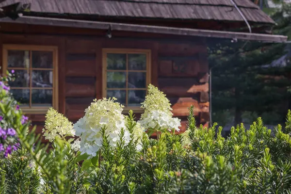 stock image A wooden house with flowers in the garden in front of it