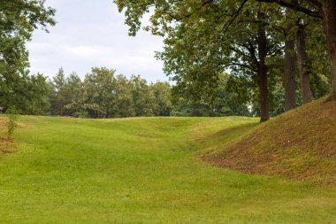 Ağaçlı ve çimenli manzara