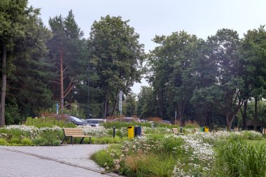 Parktaki park yerinde oturacak bir bank var.