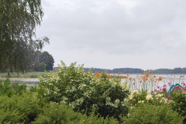 Arka planda göl olan bir çiçek çalısı manzarası