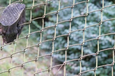 metal wire square fence with an ingrown piece of wood on the fence clipart