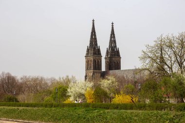 Şehirde dekoratif ağaçların arkasında iki kilise kulesi var.