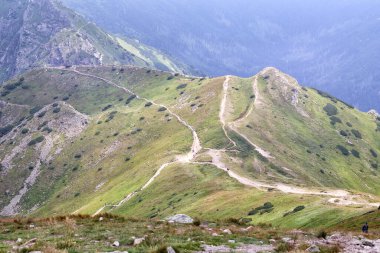 Doğa manzarası, dağdaki yürüyüş yolları.