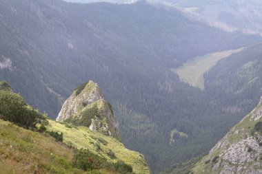 Yeşil yosunlarla çevrili dağlardaki doğal manzara