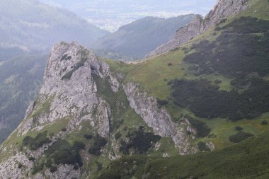 Yeşil yosunlarla çevrili dağlardaki doğal manzara
