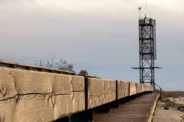 Foreground with a tree leaf on the beach against the background of a wooden lighthouse clipart