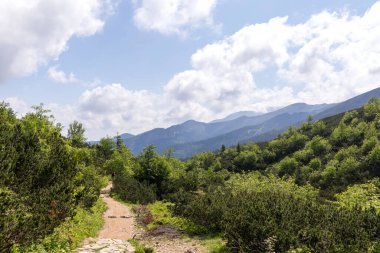 Tepeden tırnağa ağaçlık bir alan çalılıkların arasından uzak dağ tepelerine kadar uzanan beyaz bulutlarla dolu parlak bir gökyüzü..