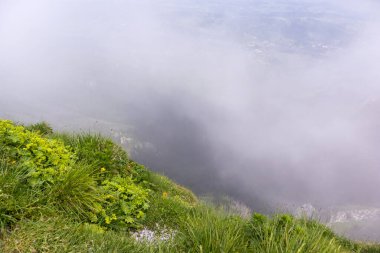 Önünde yeşil çimenler ve sarı çiçekler olan bir yamacın kenarında ve arka planda yoğun bir sis tabakası manzarayı kısmen karartmaktadır..