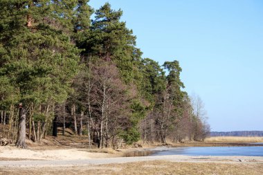 .the shore of the lake with a sandy beach protected from the lee