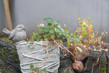 Ağaç kütüğünün üzerine küçük bir saksı yerleştiriliyor ve bir kuş heykeli tencerenin kenarında oturuyor..