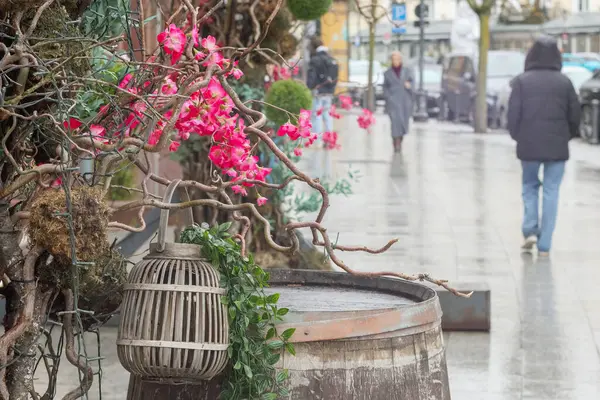 Dekoratif olarak tasarlanmış, üzerinde kuş kafesi asılı olan ahşap bir varil, etrafında pembe çiçekler olan dallar, romantik ve samimi bir atmosfer yaratıyor..