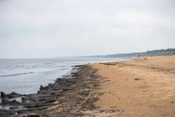 Geniş, kumlu bir sahil kayalık bir sahil ve uzaktan görülebilen insanlar..