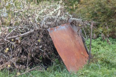 Bir sürü çalısı ve ağacı olan eski ve terk edilmiş bir bahçe. Ama ön planda büyük bir metal plaka görülebilir..