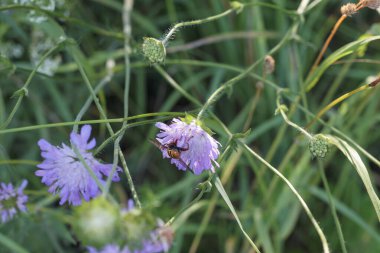Sarı çiçekler de dahil olmak üzere bir sürü farklı çiçeği olan güzel bir çiçek buketi..