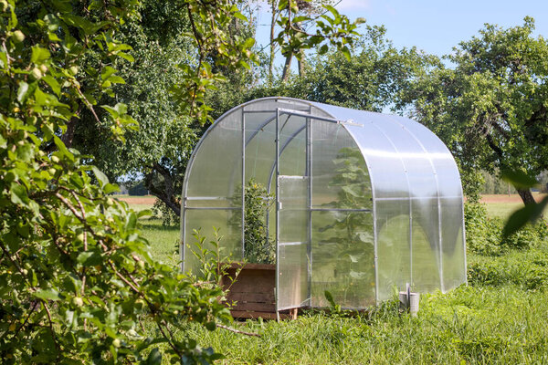 a small greenhouse located in the garden or backyard.