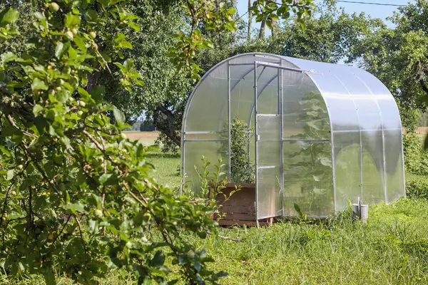 Bahçede küçük bir polikarbonat serası..