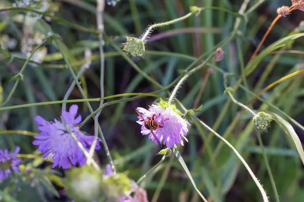 Sarı çiçekler de dahil olmak üzere bir sürü farklı çiçeği olan güzel bir çiçek buketi..
