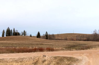 Ormana giden bir yol ile kırsal manzaralı..