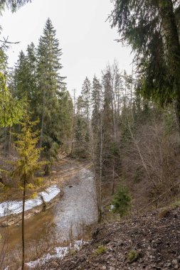 Ağaçların arasından süzülen bir nehir ve nehir kıyısındaki karla ağaçlandırılmış bir manzara görülebilir..