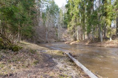 Ağaçlık bir vadiden akan bir nehir ve kıyıda uzanan bir ağaç gövdesini gösteren bir manzara..