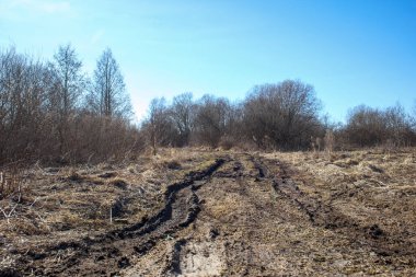 Açık mavi gökyüzünün altında ağaçlar ve çalılarla çevrili çamurlu bir yol..