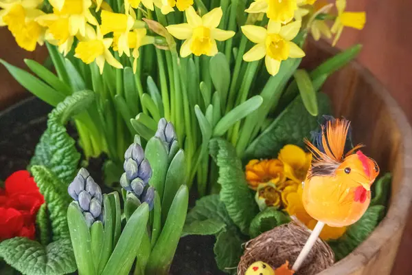 nergisli saksı, sümbül ve diğer bahar çiçekleri.