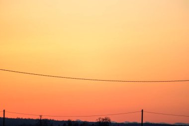 Elektrik hatları ve siluetli ağaçlarla gün batımı.