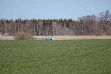 Tarlada çalışan ve bitkilere kimyasal püskürten bir traktör..