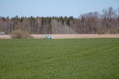 Tarlada çalışan ve bitkilere kimyasal püskürten bir traktör..