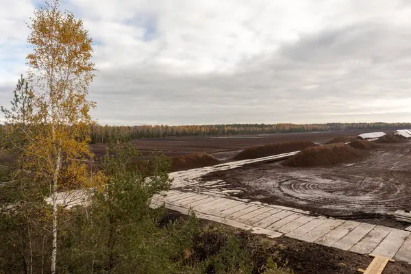 Solunda hafif bir huş ağacı olan bataklığın havadan görünüşü, bataklıktan geçen beton bir yaya köprüsü..