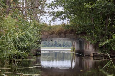 Ağaçlar ve çalılarla çevrili tünel benzeri bir yapıda akan dar bir nehir..