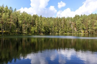 Sahilde ormanı olan bir göl ve sudaki bulutların yansıması..