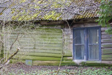Eski, ahşap bir bina, yosun kaplı çatısı ve mavi pencereli. Yosun kaplı çatısı ve mavi pencereleri olan eski, ahşap bir bina..